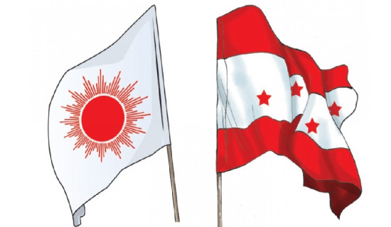 Malangawa-based UML, NC party offices torched