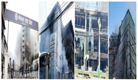 Sugar imports increase 16-fold, 30% revenue growth in rice