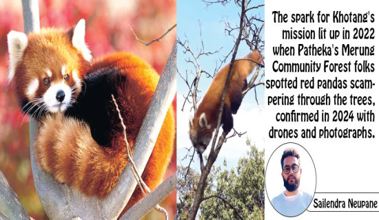 Red Panda Protection Drive In Khotang