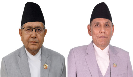 Rule of law, constitutionalism should not be bypassed: Speaker, NA Chair