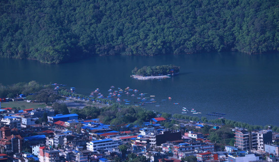 Public transport resumes in Pokhara