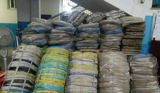 Over 5,000 kg of cannabis seized from two trucks