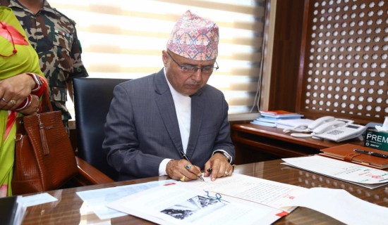 Japanese encephalitis: Five dead in Chitwan so far