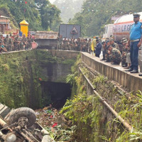 14 nests of endangered vultures found in Baitadi
