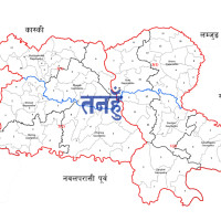 Female rhino found dead in Nawalpur
