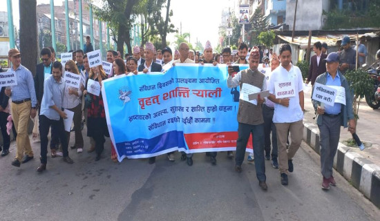 PAPAD organizes greater peace rally on Constitution Day