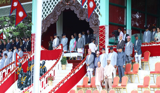 Constitution Day celebration: In pictures