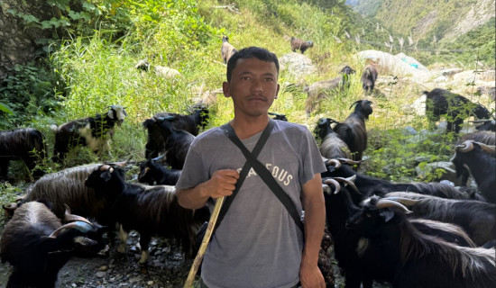 Mustang ward chair selling mountain goats while serving the people
