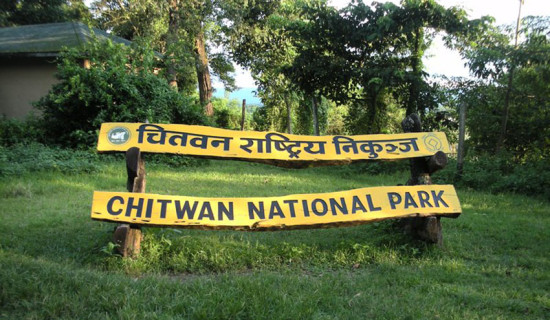 High mast and street lights installed in Manthali, Bethan