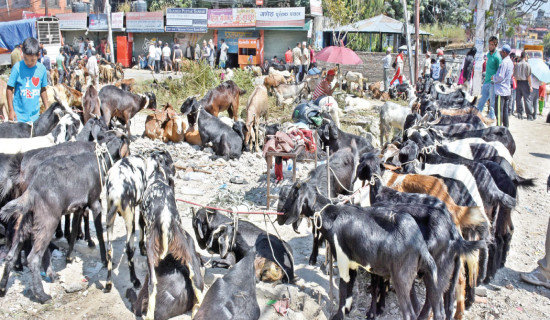 Blacklisting Of Banking Defaulters