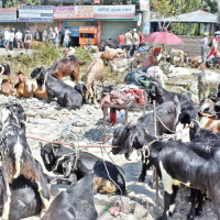 NRB announces relief measures for businesses