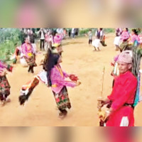 Vulture breeding centre at CNP to close down