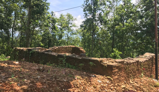 Reconstruction of Bhanu’s ancestral home still uncertain