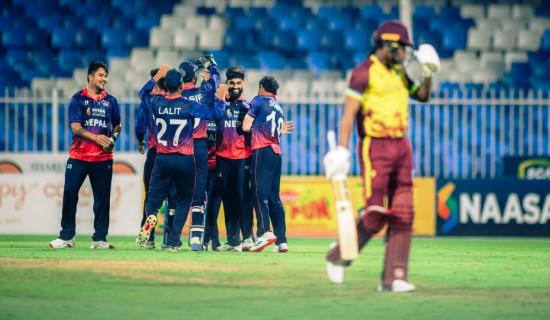 Unity Cup T20 series: Nepal faces defeat in final match, wins series by 2-1