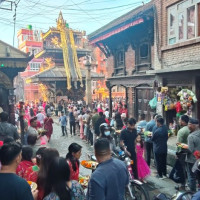 KMC urges people to take precaution against dengue infection