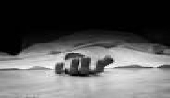 9 dead in south India thermal power project mishap