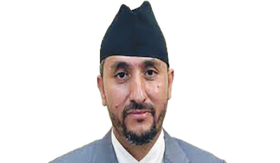 Communication service providers urged to ensure effective information flow