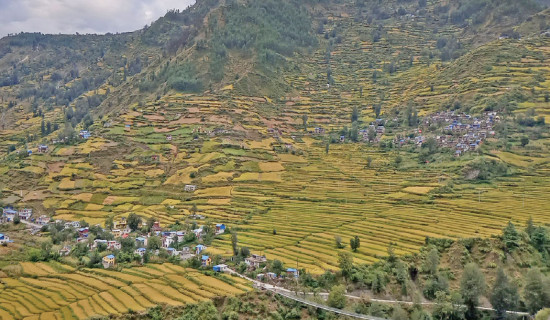 Luring Digital Nomads