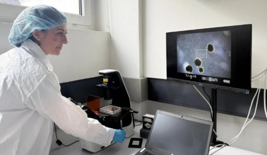 Scientists grow mini human brains to power computers