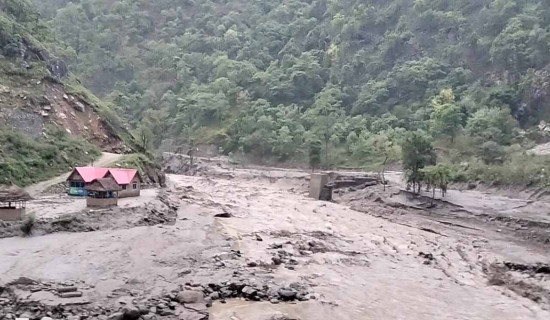 Energy, irrigation systems incur losses of million rupees from floods