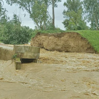 Monsoon rains claim 49 lives, with Ilam recording 37 deaths