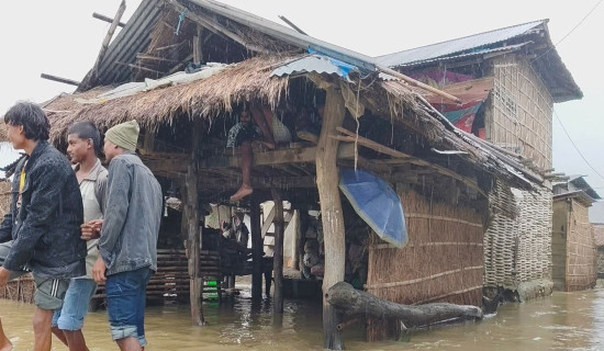 Monsoon rains claim 49 lives, with Ilam recording 37 deaths