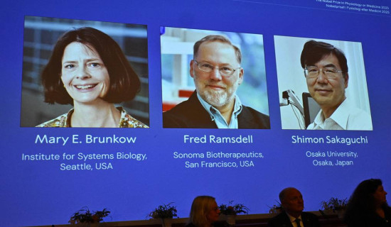 Nobel Prize in medicine granted for immune system breakthroughs