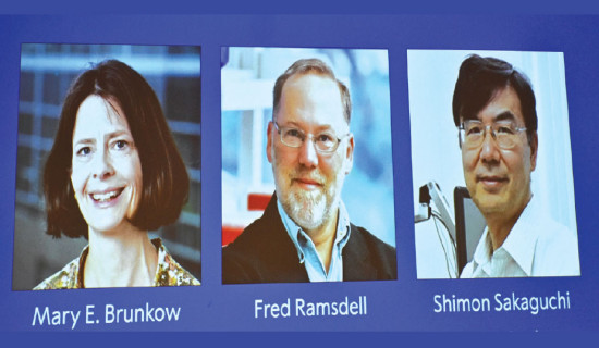 Two Americans, a Japanese win Nobel Prize in medicine
