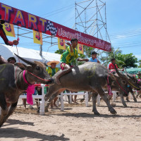 Preparations complete for Uttargandaki Mahamela, Damodar Religious Festival