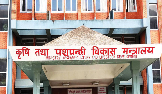 Ministry collecting details of loss in agriculture and livestock
