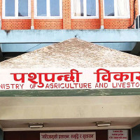 CIAA Hetauda resolves 1,942 cases