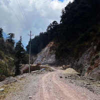 Ministry collecting details of loss in agriculture and livestock