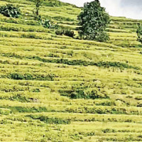 Koshi Province to rebuild all flood, landslide damaged houses