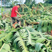 Koshi Province to rebuild all flood, landslide damaged houses