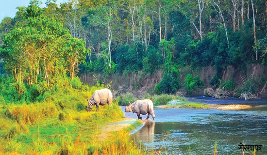 Wildlife conservation facing challenge: Poaching continues unabated in Shuklaphanta