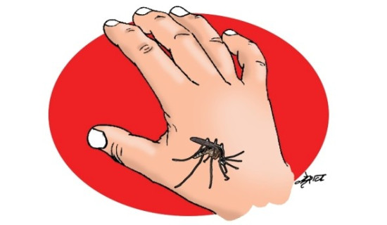 Nationwide death toll from JE in 2015 reaches 31