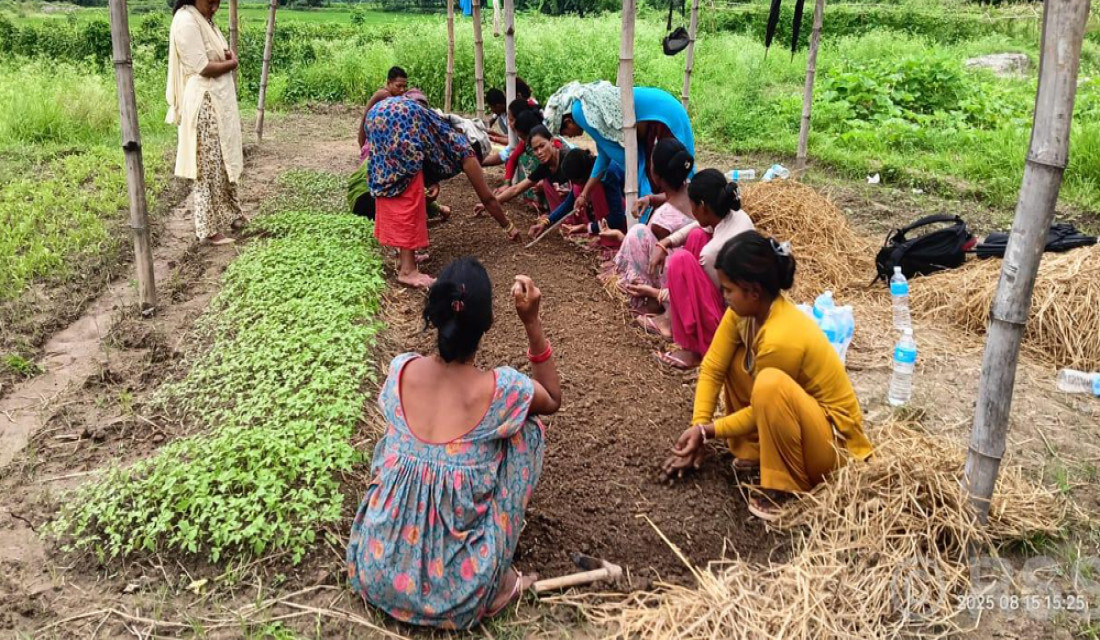 Women in Dang making good income from collective farming