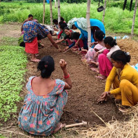 Hatiyagola food depot in Sankhusabha sees short of rice for past 15 months