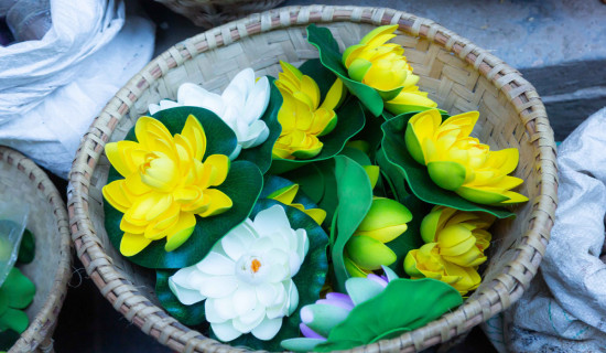 Imported flowers to be restricted in KMC during Tihar festival