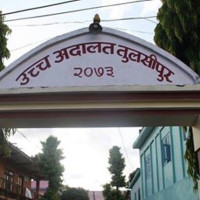 Gandaki govt drafts bill for marijuana farming, license mandatory