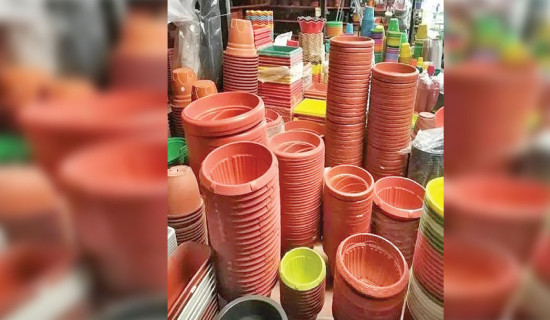 Plastic-made flowers banned in Musikot