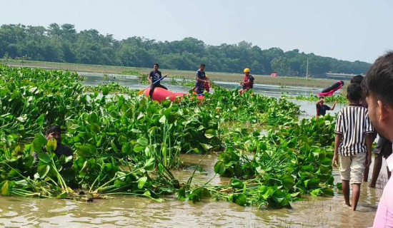 Three teenage girls drown in pit water in Rautahat
