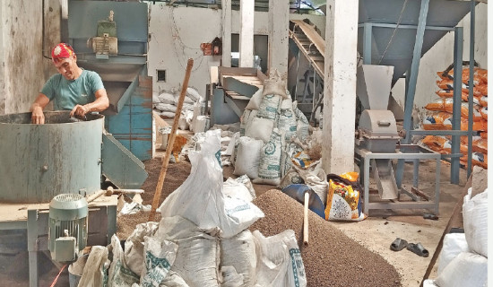Dubai-returned entrepreneur runs fertiliser factory