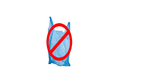 Hetauda bans sale, use of plastic bouquets, flowers