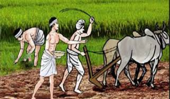 More than 2.3 million farmers enlisted under Farmer Registration Programme