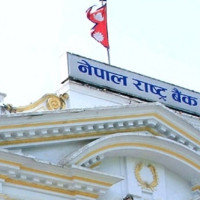 Parliamentary committee wants government to comfort stranded passengers