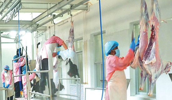 Decades on, demand for a slaughterhouse goes unheeded