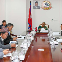 Two Kala-azar cases found in Jhapa