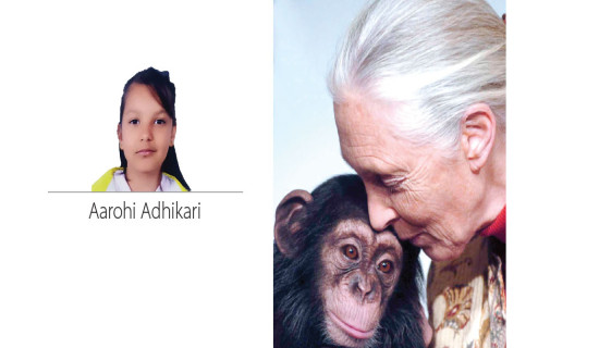 Goodall: Pioneering Conservationist