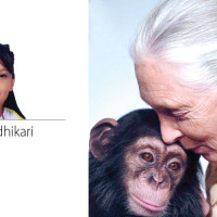 Unseen Artistry Of Ramesh Vikal